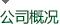 公司概况